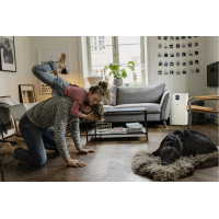 Очищувач повітря AF 50